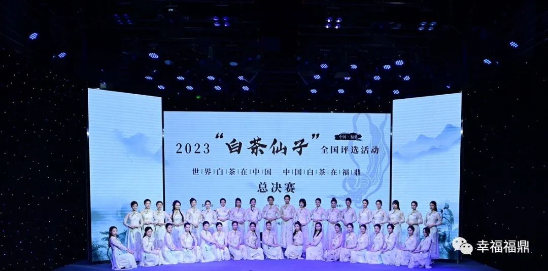 2023中国·福鼎“白茶仙子”冠军揭晓→