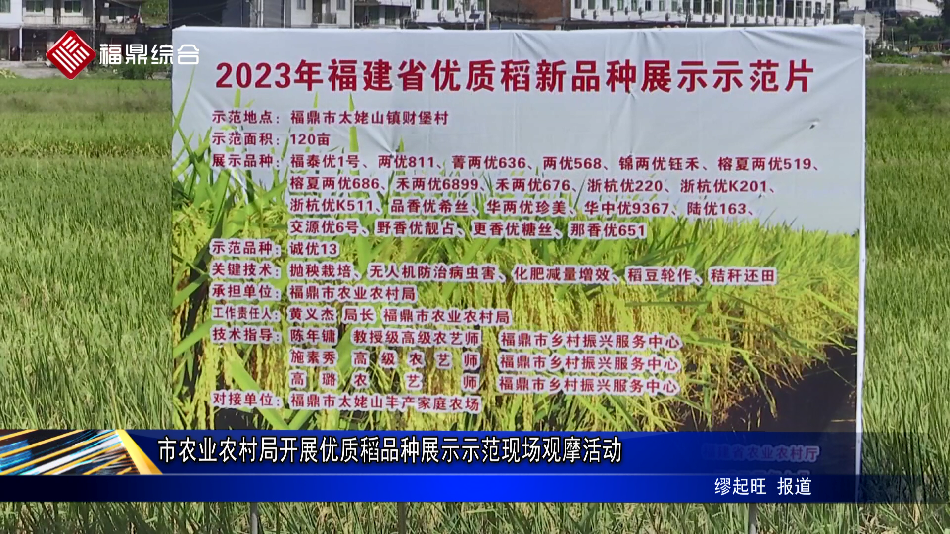 市农业农村局开展优质稻品种展示示范现场观摩活动