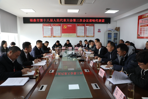 林青参加市十八届人大三次会议前岐代表团分组讨论