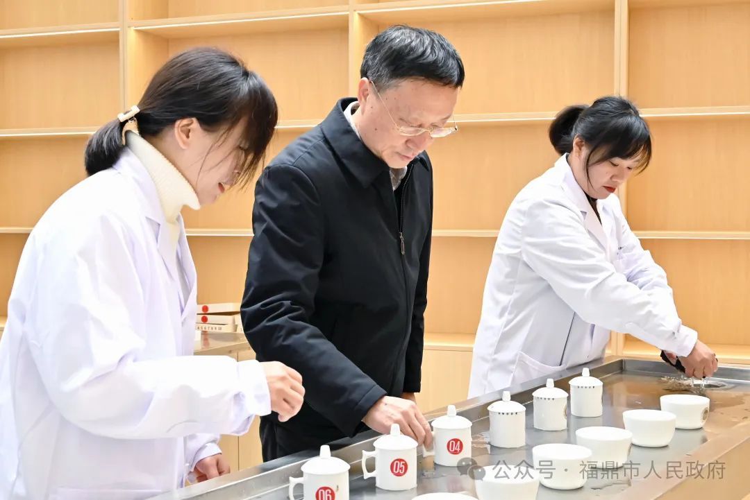 福鼎首个白茶原料交易中心揭牌运营！