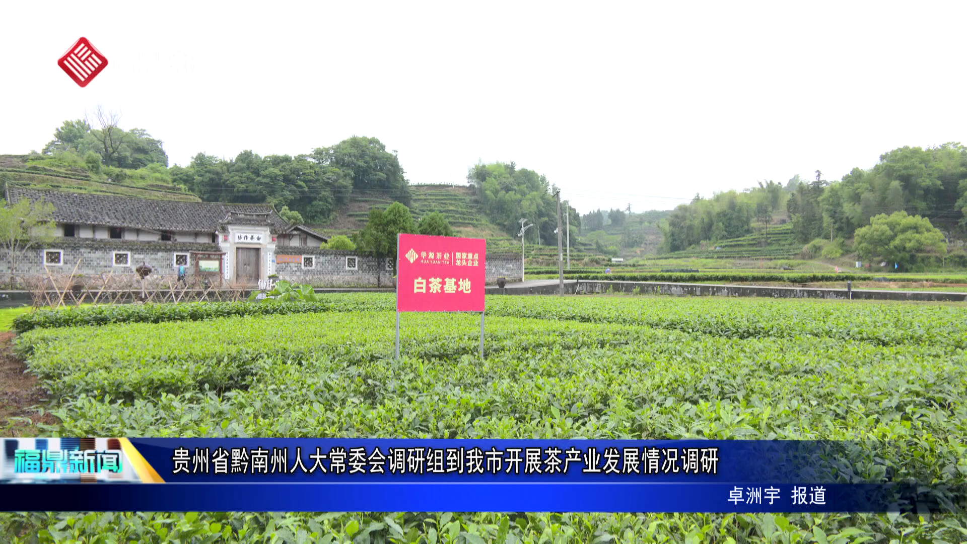 贵州省黔南州人大常委会调研组到我市开展茶产业发展情况调研
