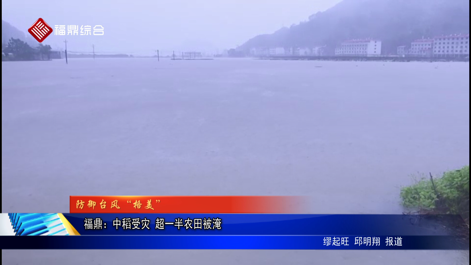 福鼎：中稻受灾 超一半农田被淹