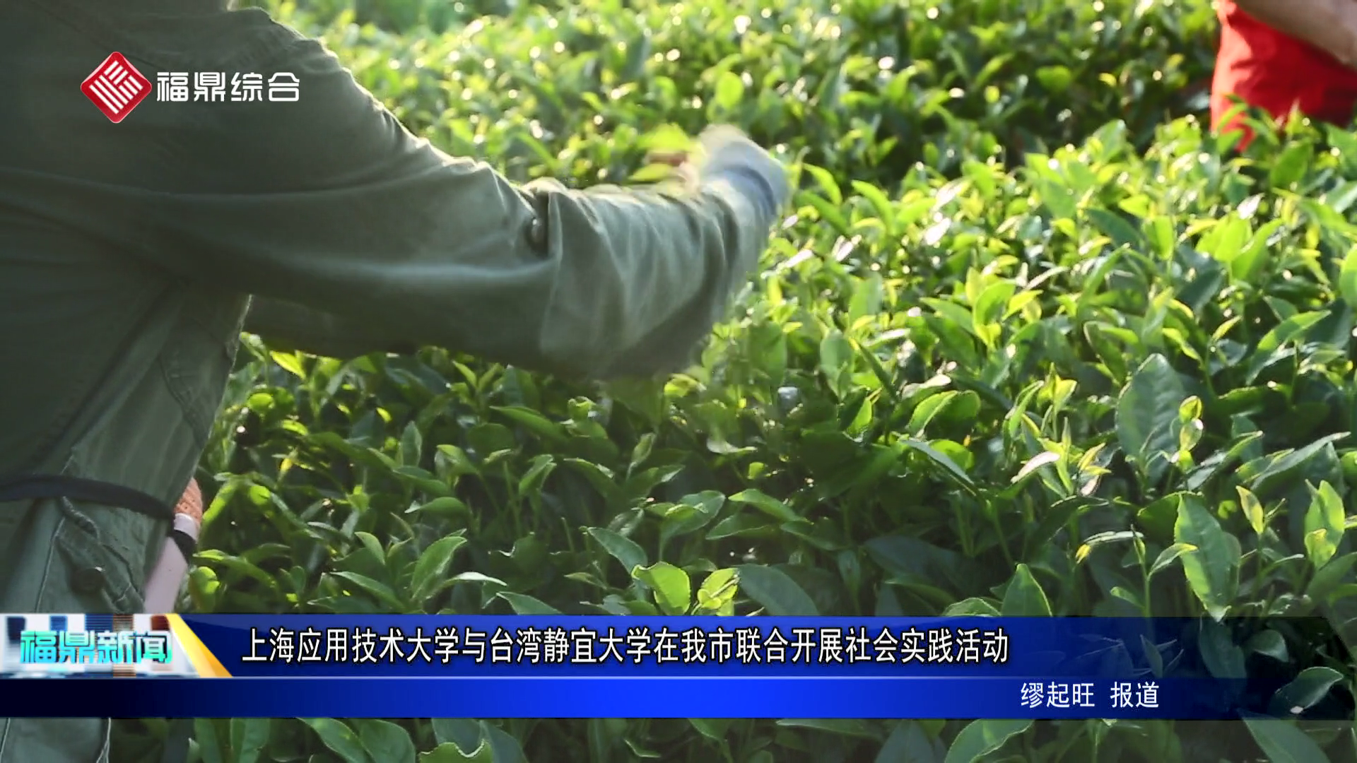 上海應(yīng)用技術(shù)大學與臺灣靜宜大學在我市聯(lián)合開展社會實踐活動