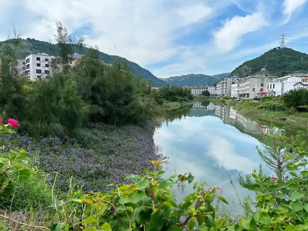 提高“母親河”含綠量，硤門有妙招→