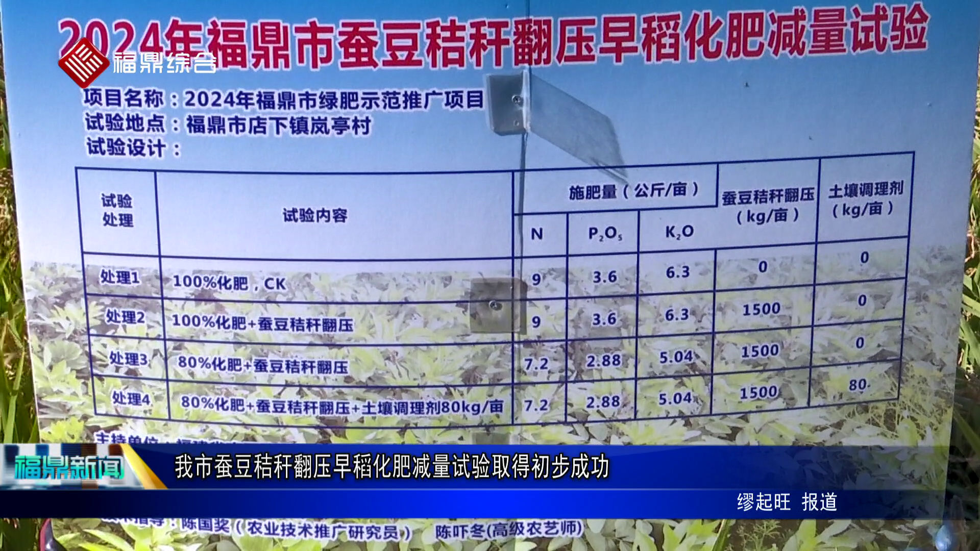 我市蠶豆秸稈翻壓早稻化肥減量試驗取得初步成功