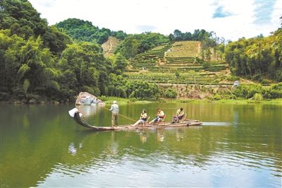 赴一场“鼎”级盛宴——二〇二四福鼎第二届啤酒美食节暨八闽美食嘉年华侧记