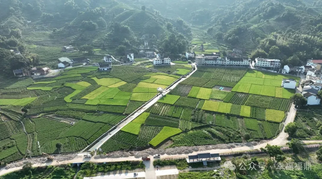 變樣，更便利！貫嶺這條路施工中！