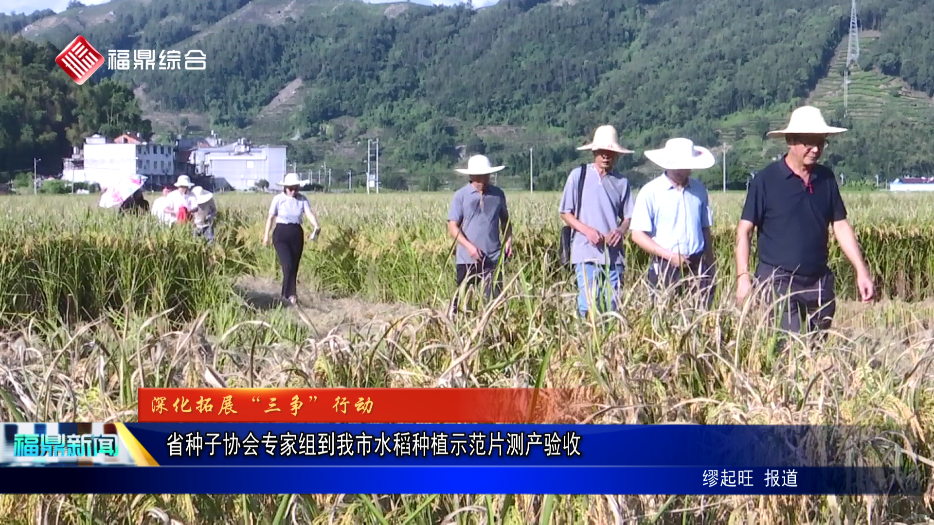 省种子协会专家组到我市水稻种植示范片测产验