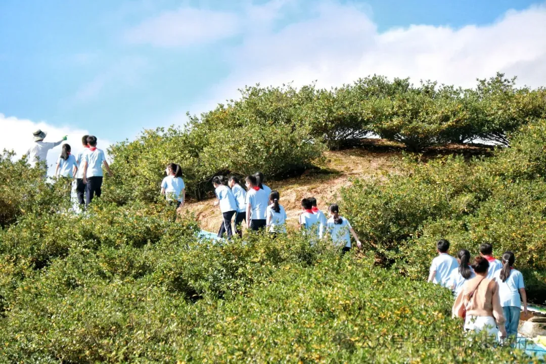 有意思！他們在田間地頭上課……