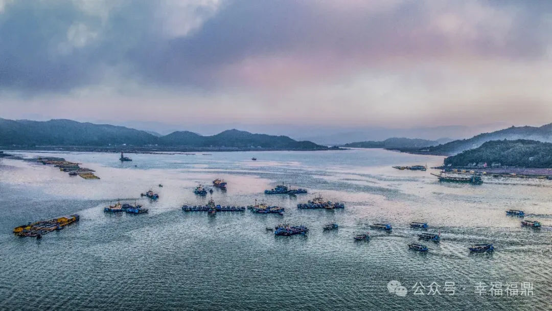 佳陽(yáng)的海上新“楓”景