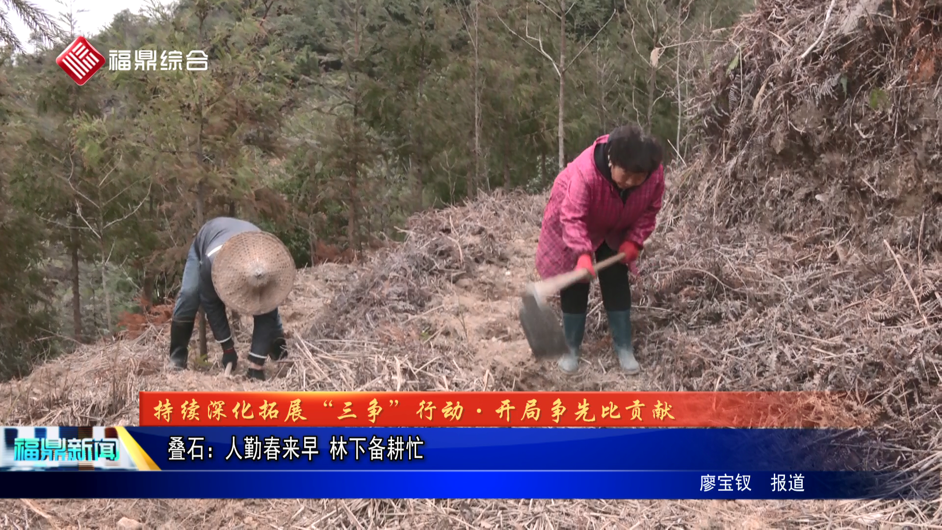 疊石：人勤春來早 林下備耕忙