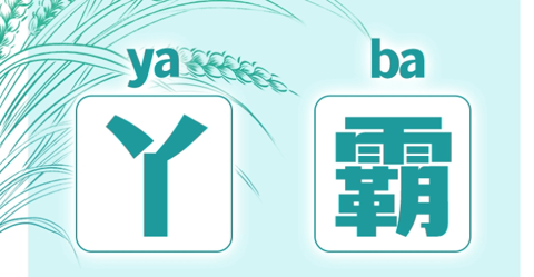 丫霸、好康、雄板！用福建方言打開(kāi)政府工作報(bào)告