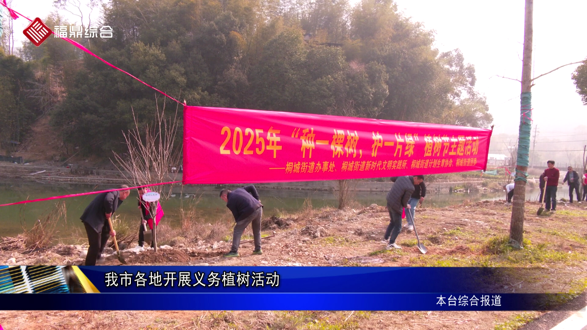 我市各地开展义务植树活动