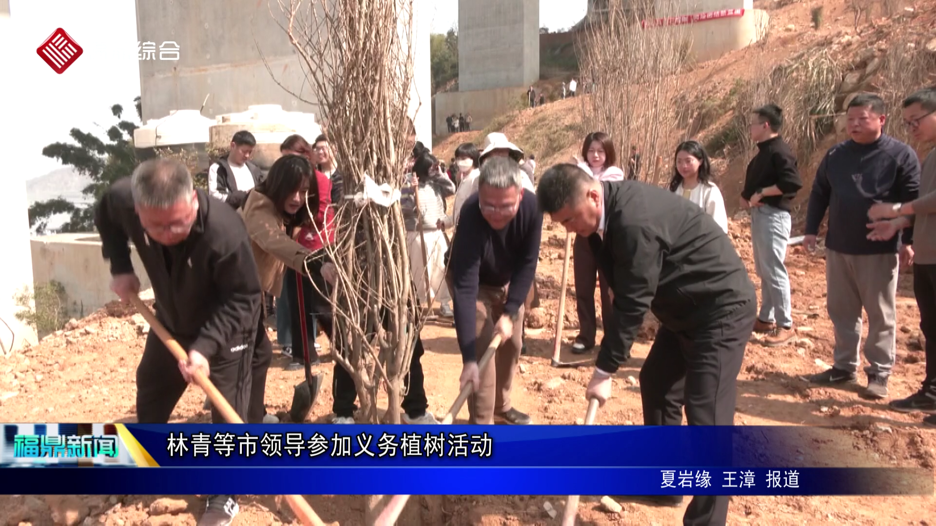 林青等市领导参加义务植树活动