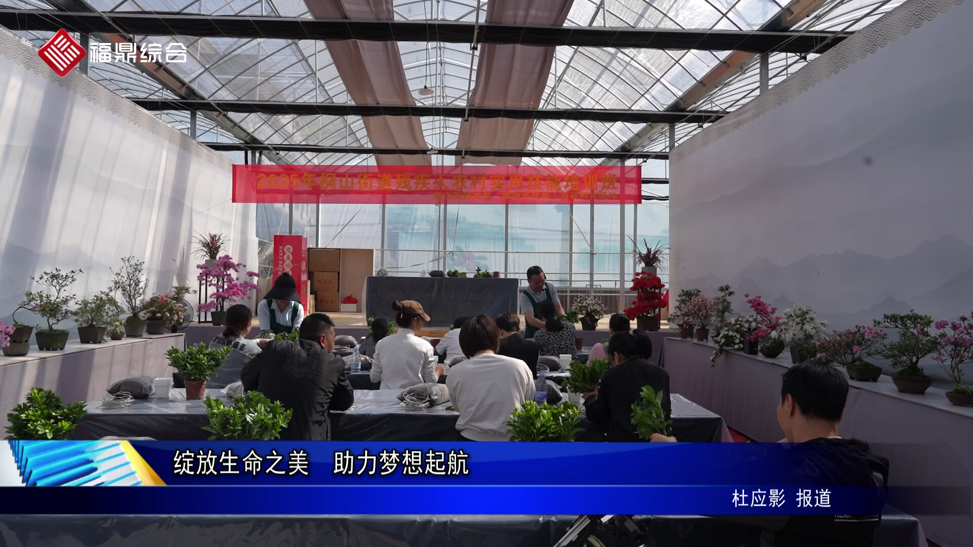 绽放生命之美  助力梦想起航