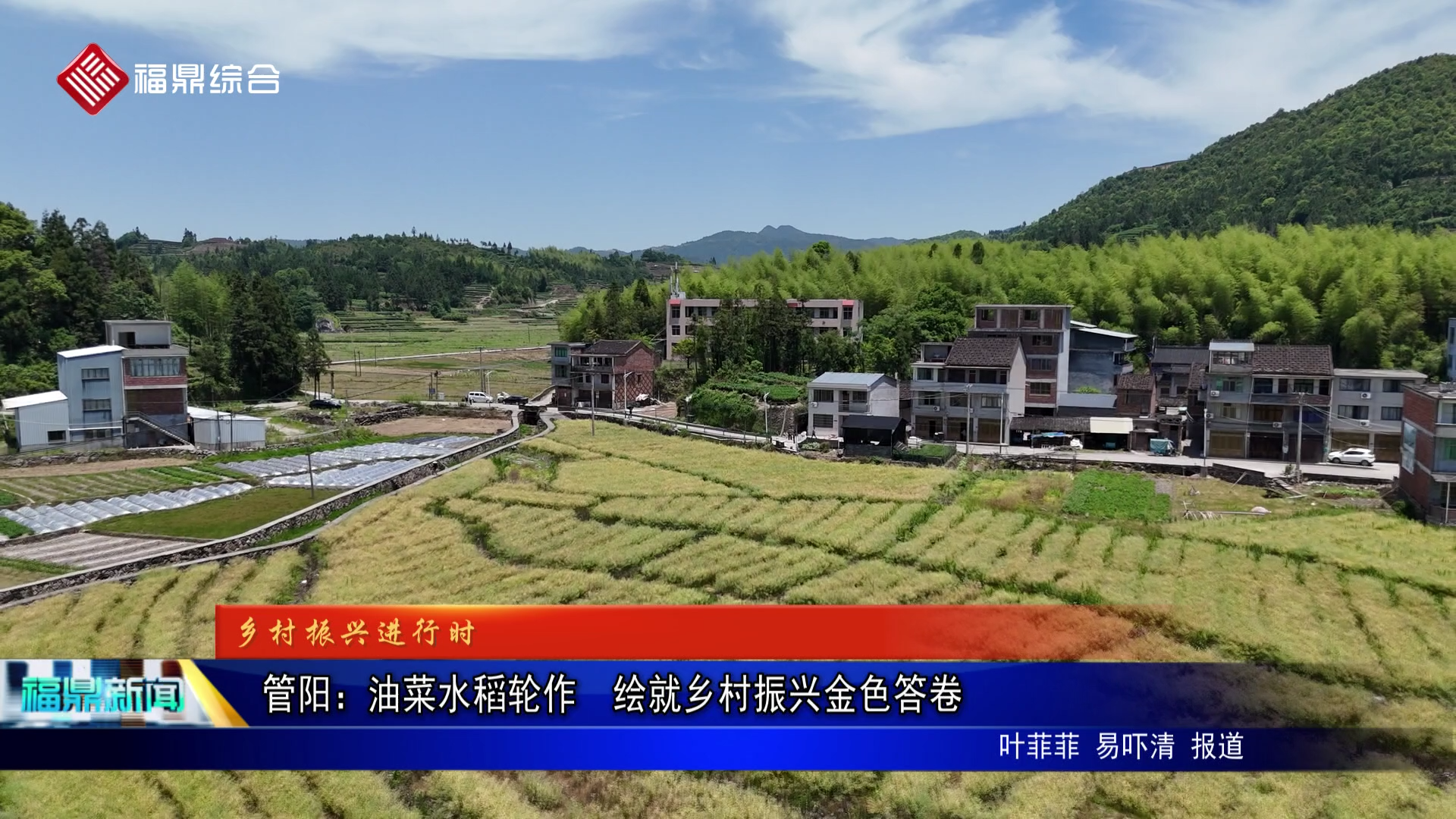 管阳：油菜水稻轮作  绘就乡村振兴金色答卷