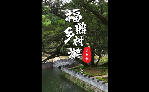 福建私藏的宝藏古村！夫妻榕春绿秋黄，自带500年变色魔法