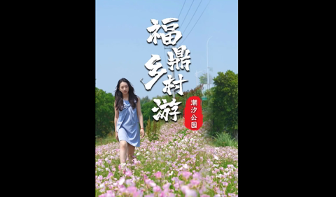 初夏的甜，藏在潮汐公园的花与海之间