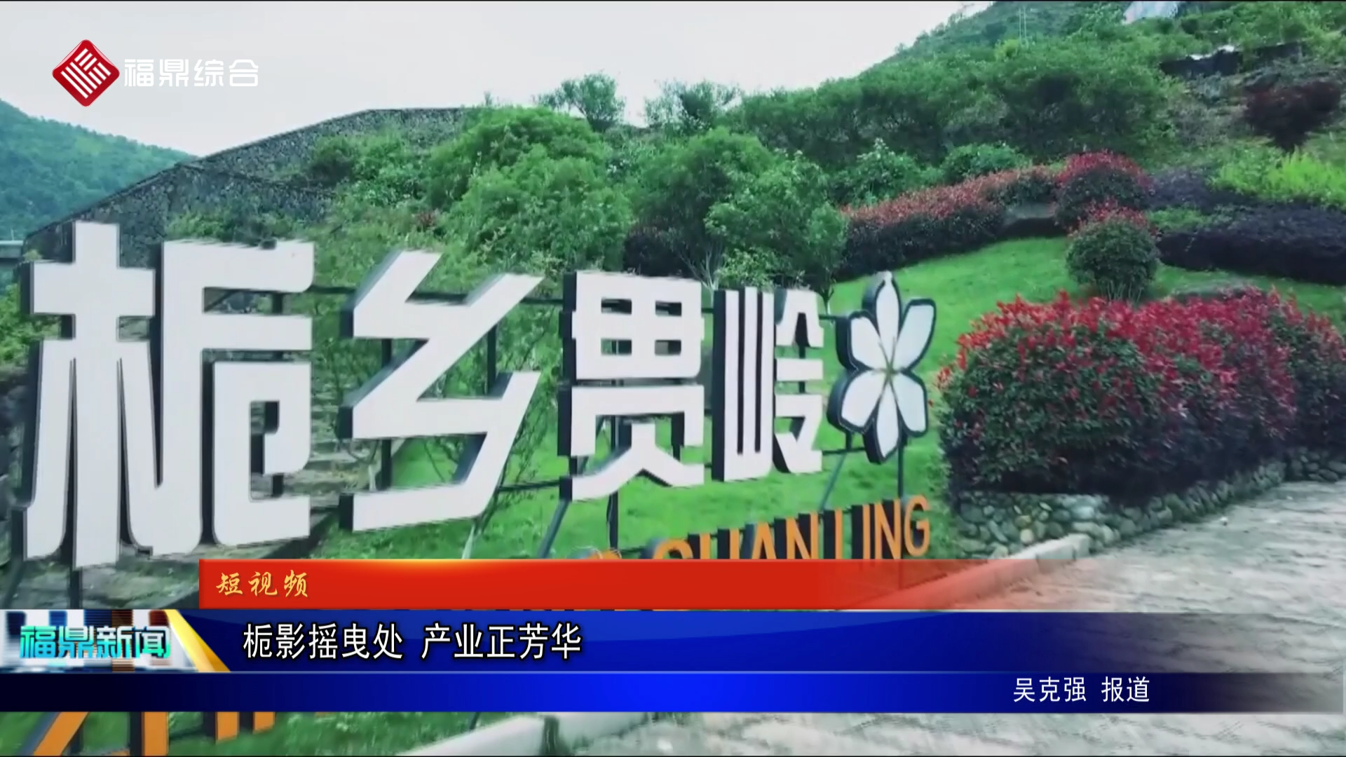 栀影摇曳处 产业正芳华