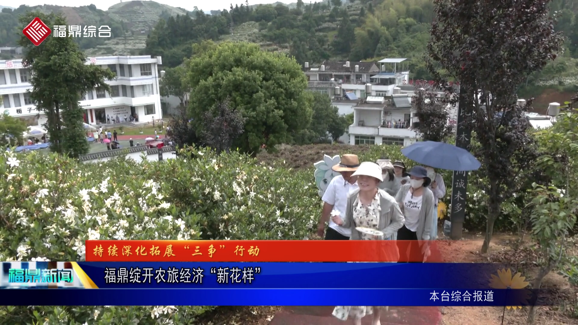 福鼎绽开农旅经济“新花样”