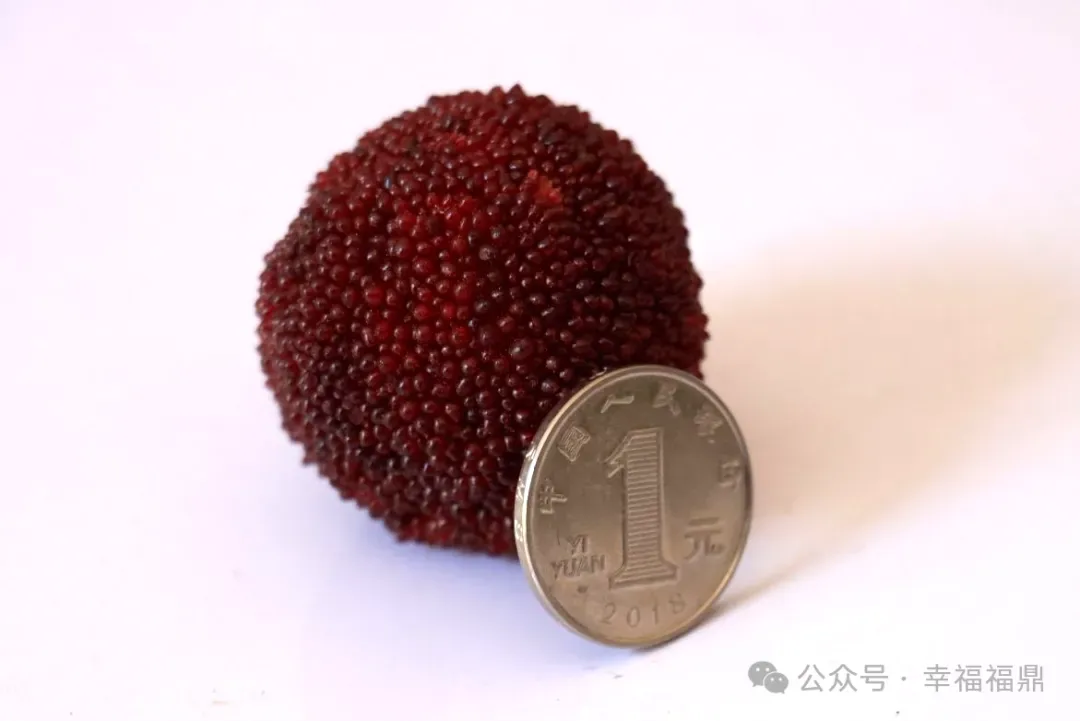 吃一口，“梅”滋滋！
