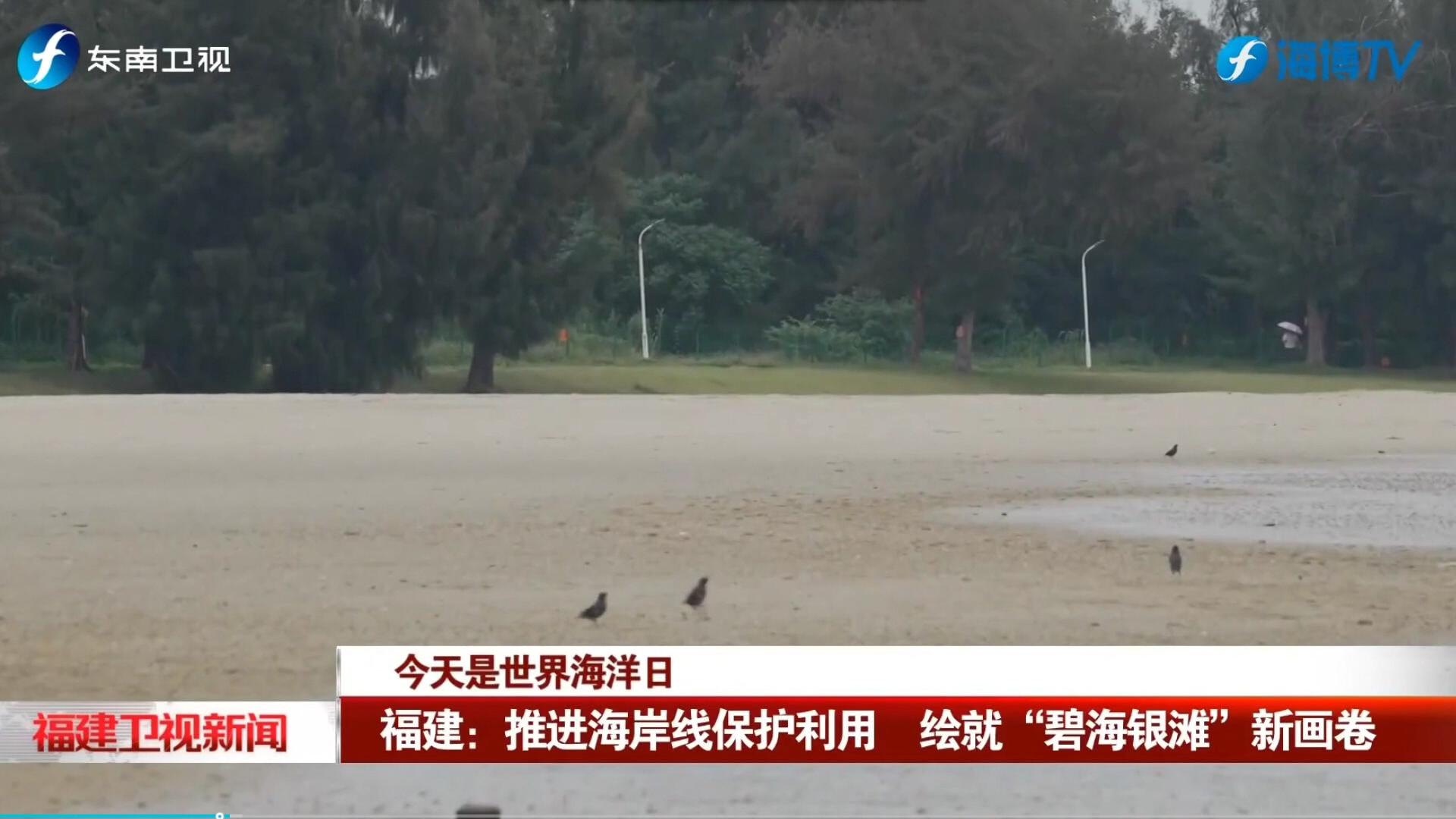 《福建卫视新闻》头条播出《福建：推进海岸线保护利用 绘就“碧海银滩”新画卷》