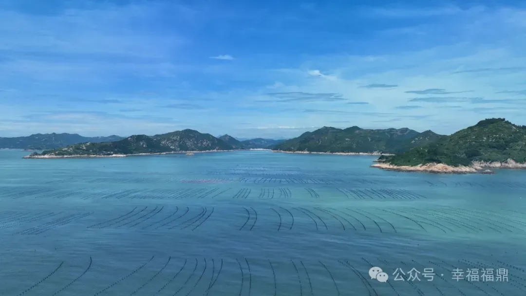 福鼎人夏季餐桌必备！它来了它来了