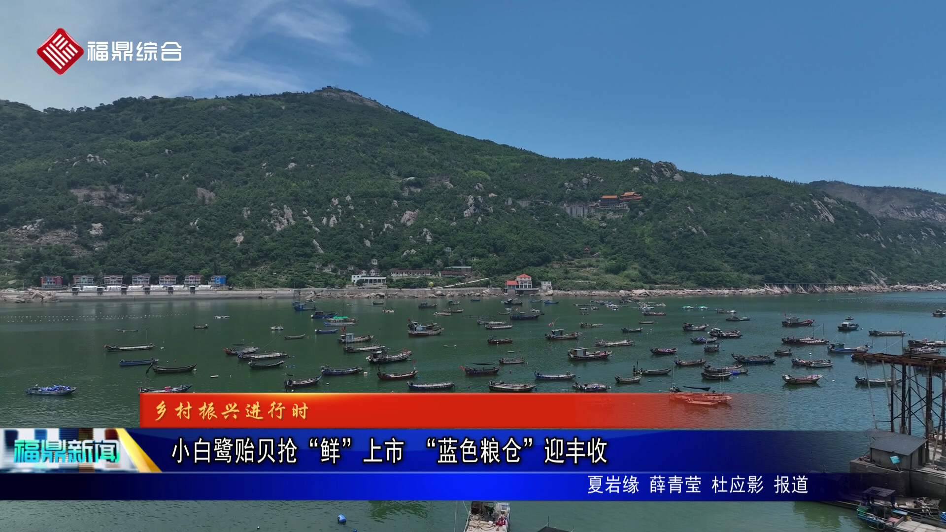 小白鹭贻贝抢“鲜”上市 “蓝色粮仓”迎丰收