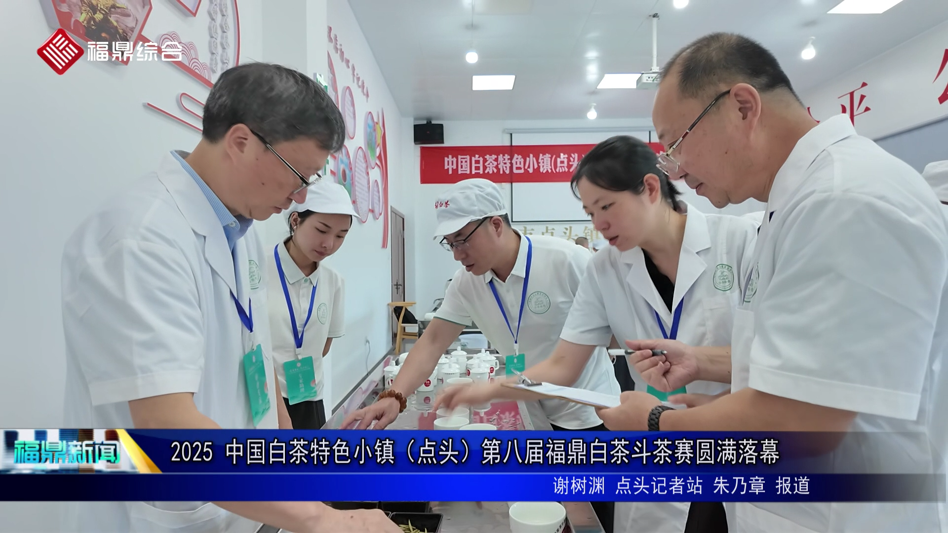 2025 中国白茶特色小镇（点头）第八届福鼎白茶斗茶赛圆满落幕