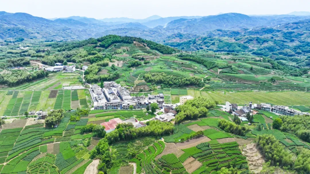 福鼎这2个村，“牵手”了！