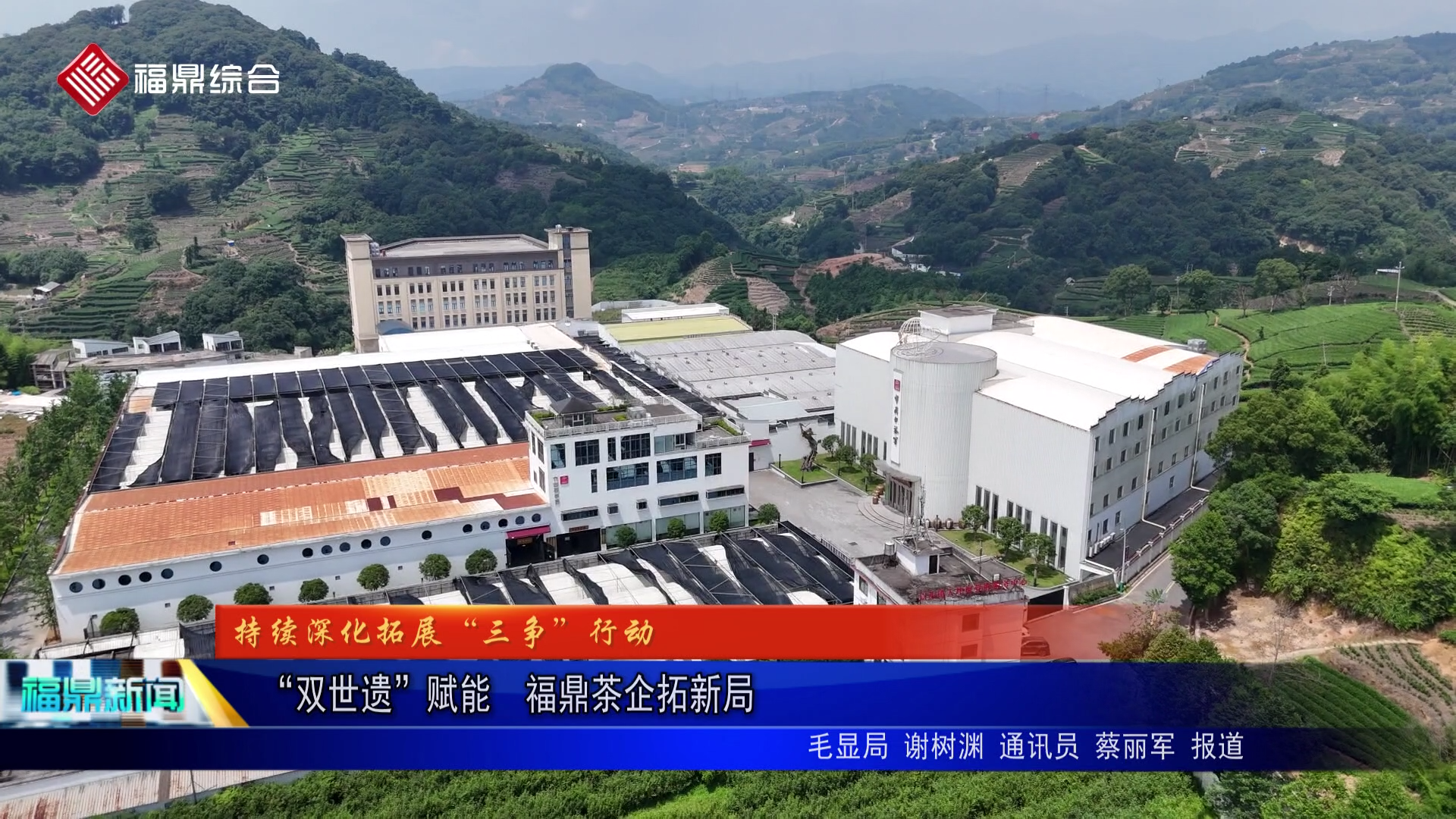 “双世遗”赋能  福鼎茶企拓新局