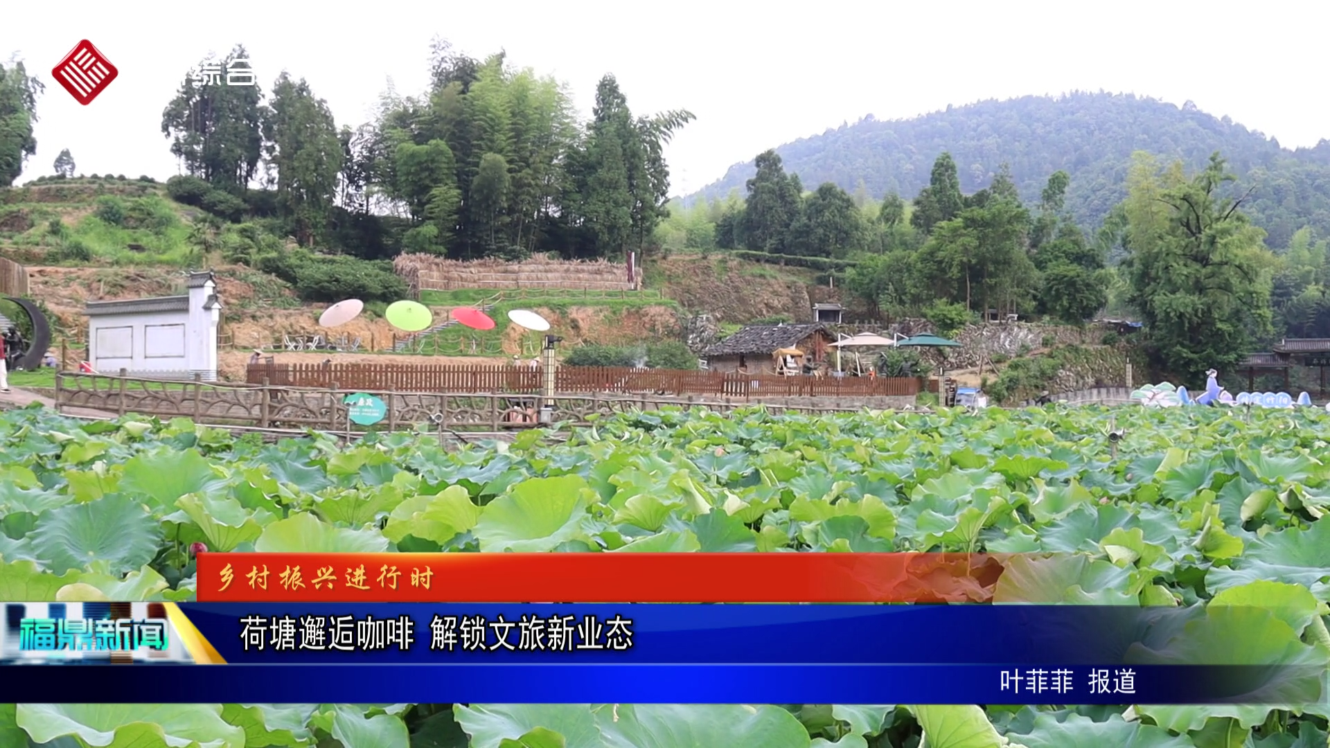 荷塘邂逅咖啡 解锁文旅新业态