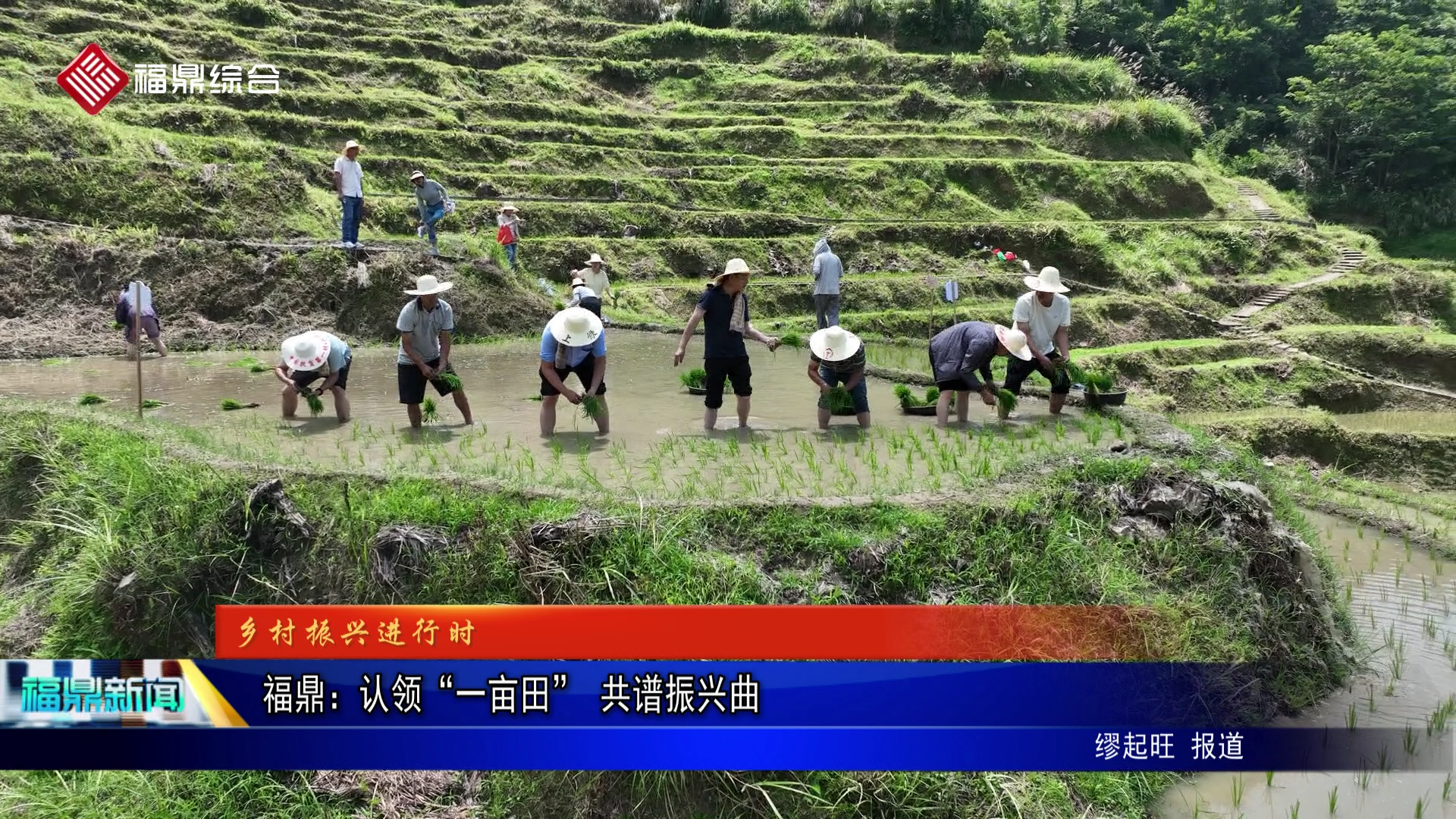 福鼎：認領“一畝田” 共譜振興曲