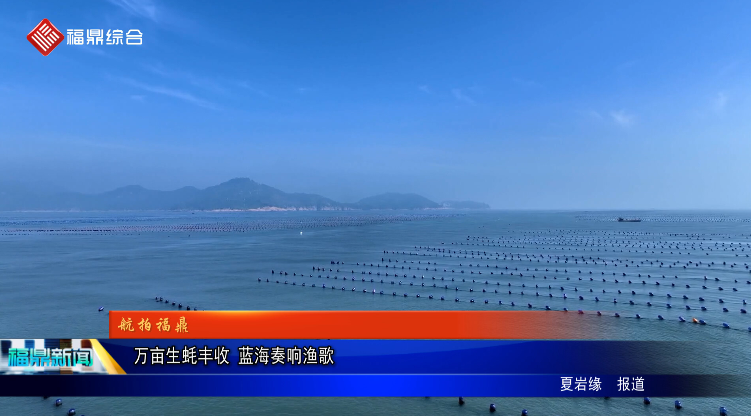 萬畝生蠔豐收 藍海奏響漁歌