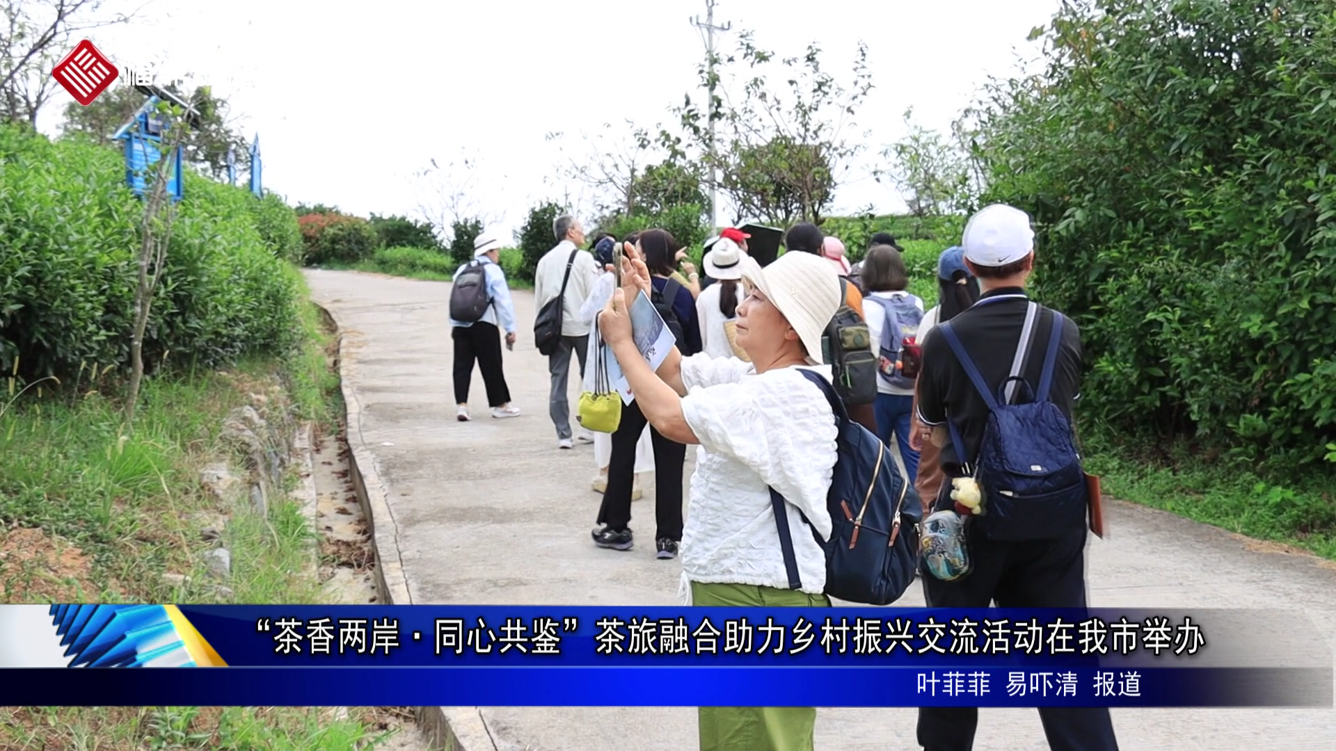 “茶香两岸·同心共鉴”茶旅融合助力乡村振兴交流活动在我市举办