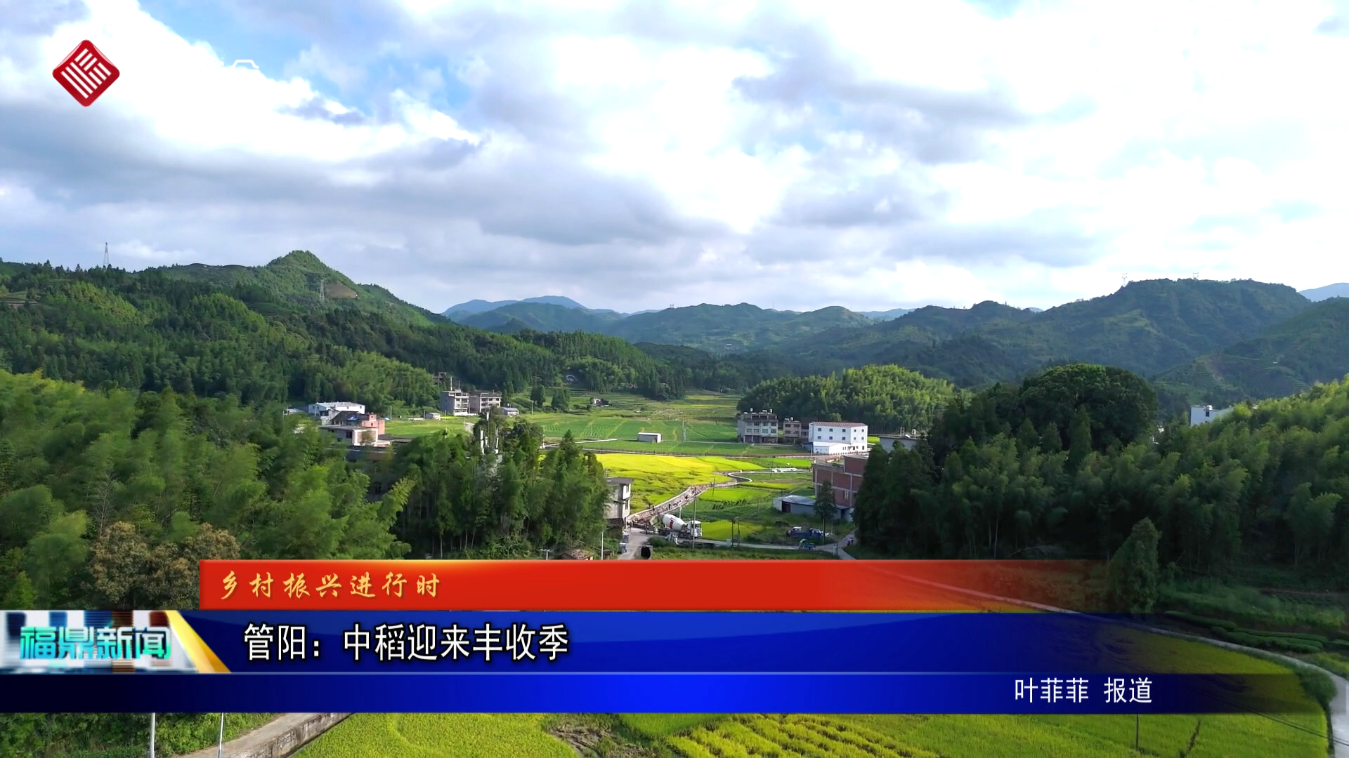 管阳：中稻迎来丰收季