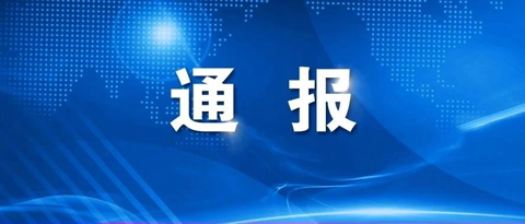 福鼎市第八中学关于巡察整改进展情况的通报