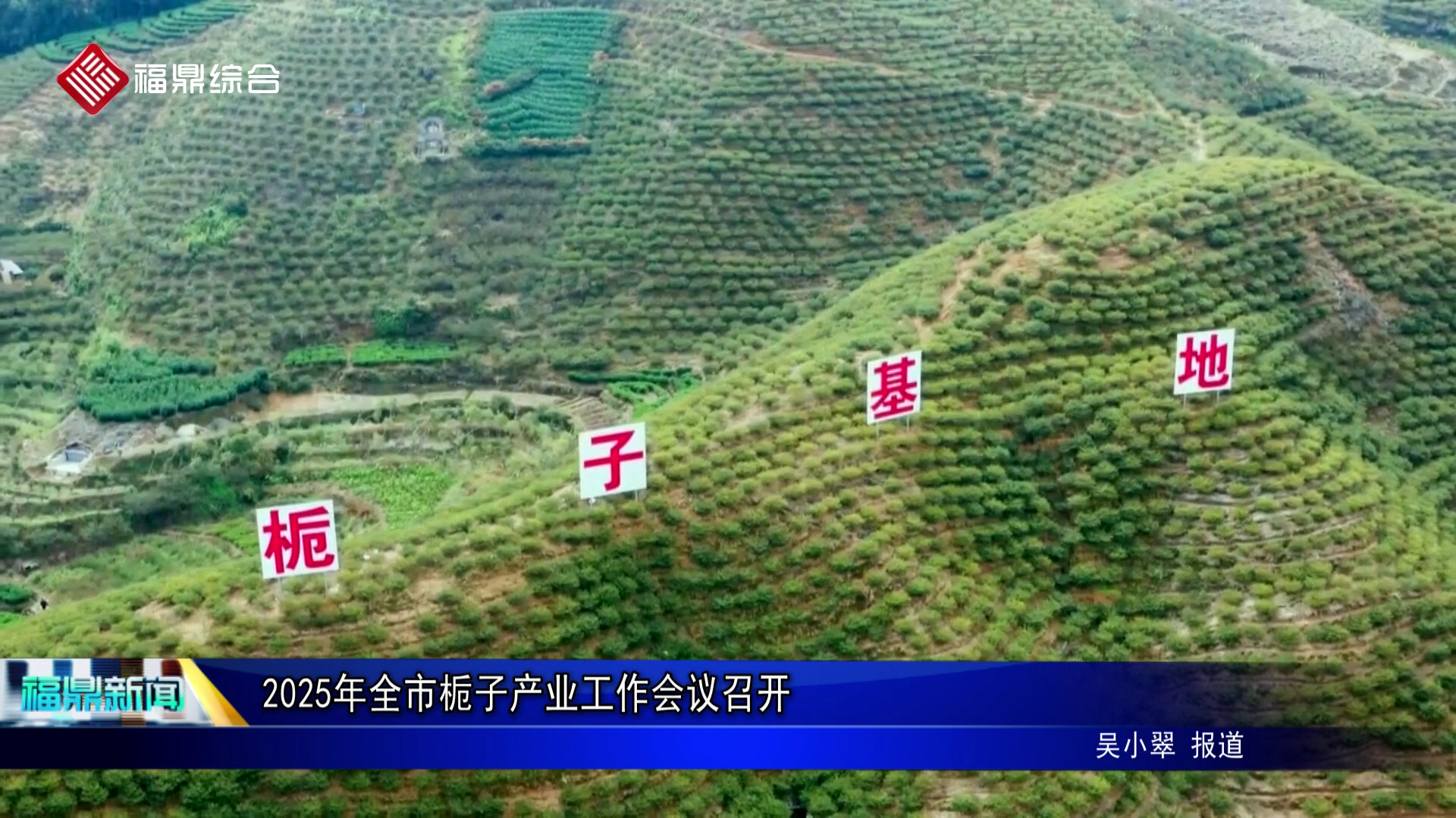 2025年全市栀子产业工作会议召开