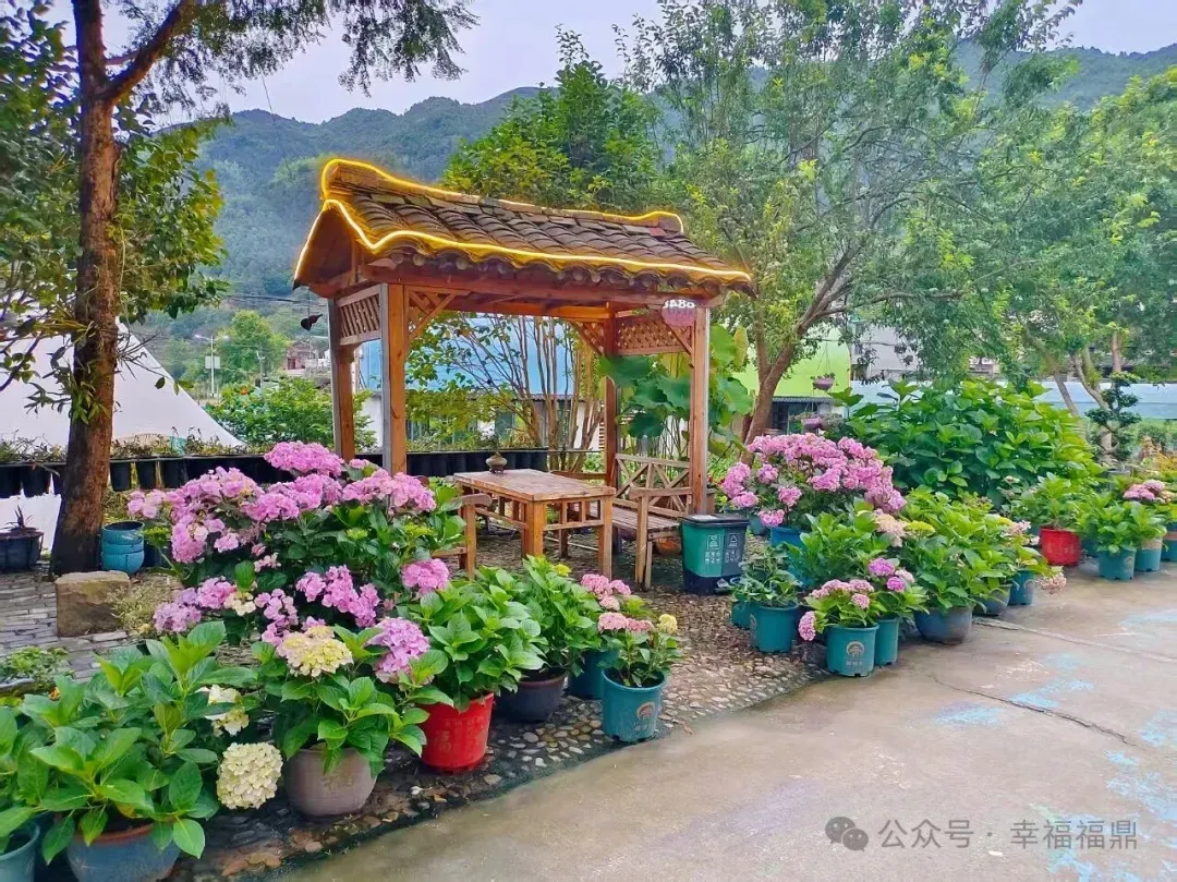 “走花路”，管阳有“花招”！