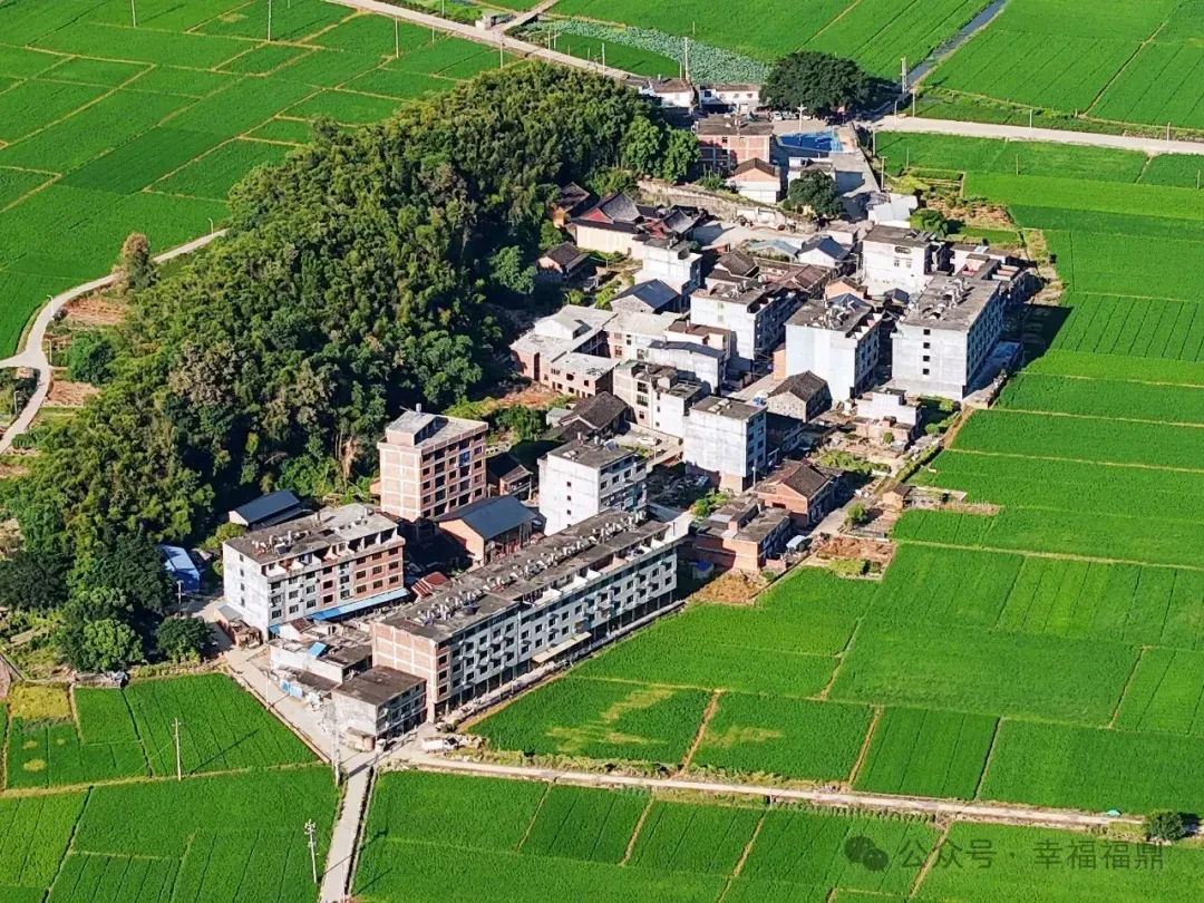 前方“稻”站→屿前村