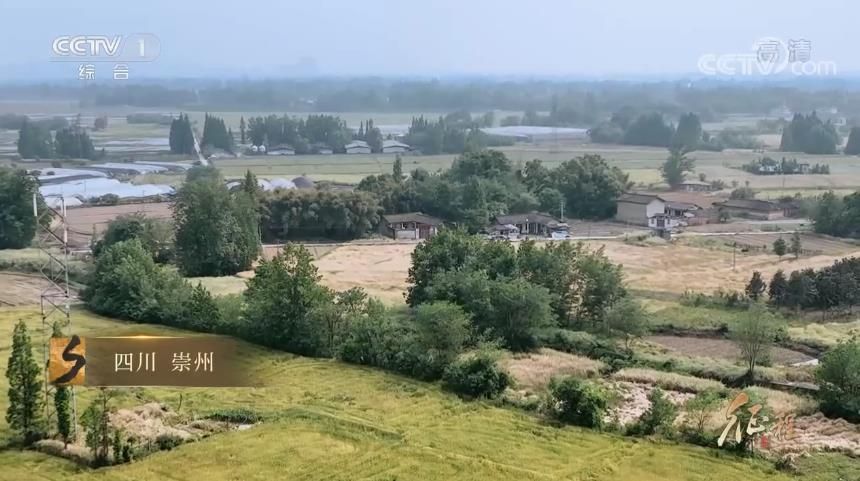 大型纪录片《征程》｜第二集 沸腾的乡村