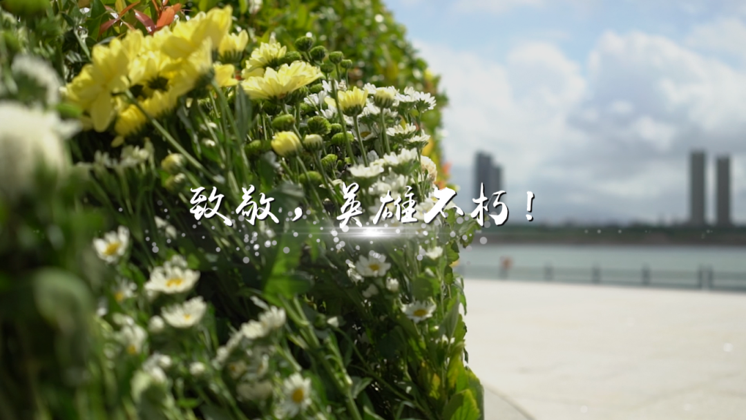 今天，鲜花献给英烈！