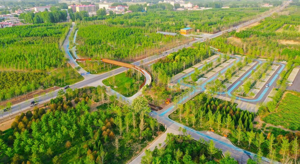 建强战斗堡垒 夯实执政之基——党的十九大以来党的基层组织建设工作综述