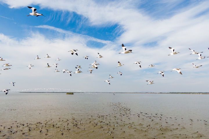 共同努力，谱写全球湿地保护新篇章