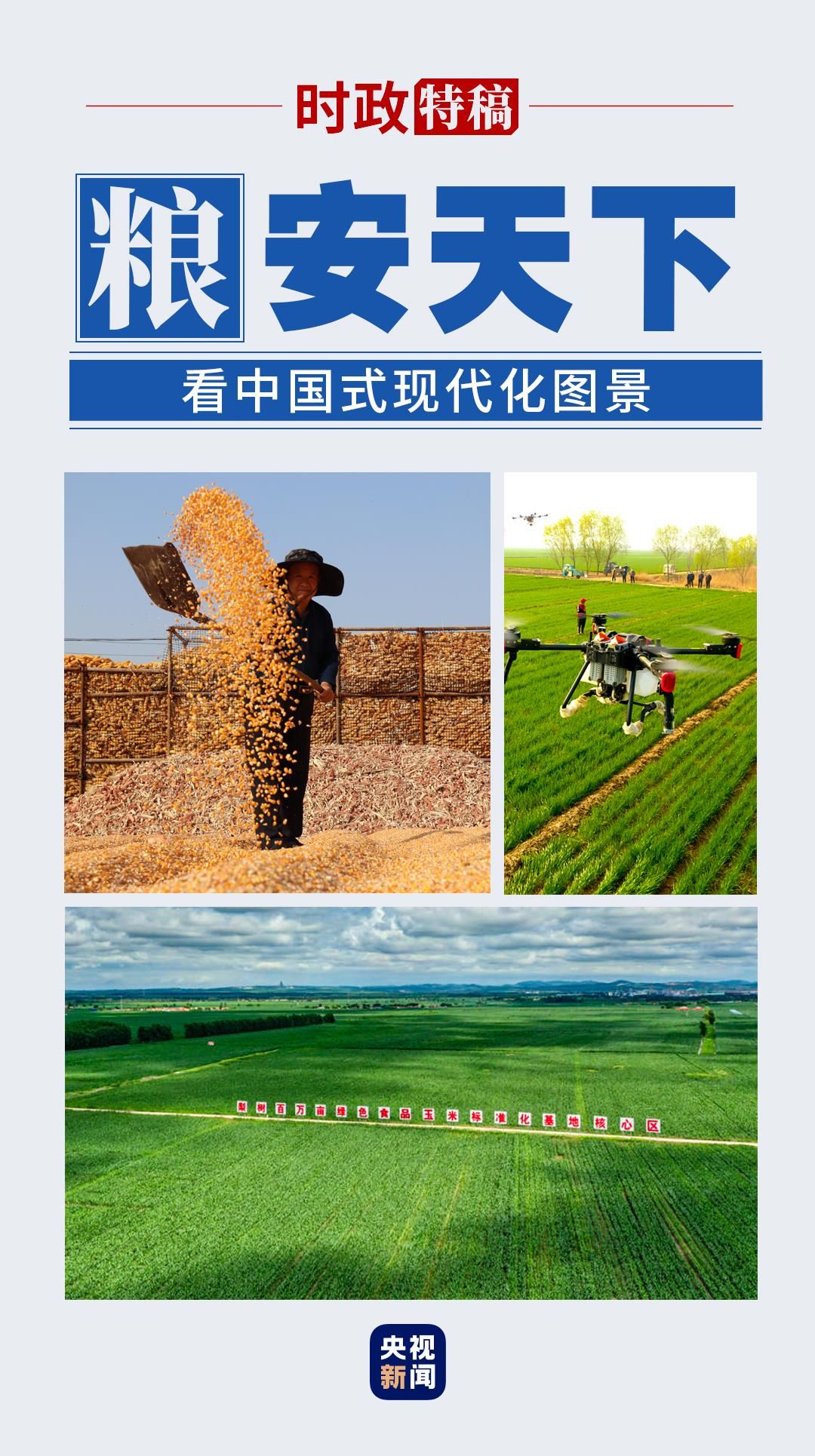 看中国式现代化图景丨粮安天下