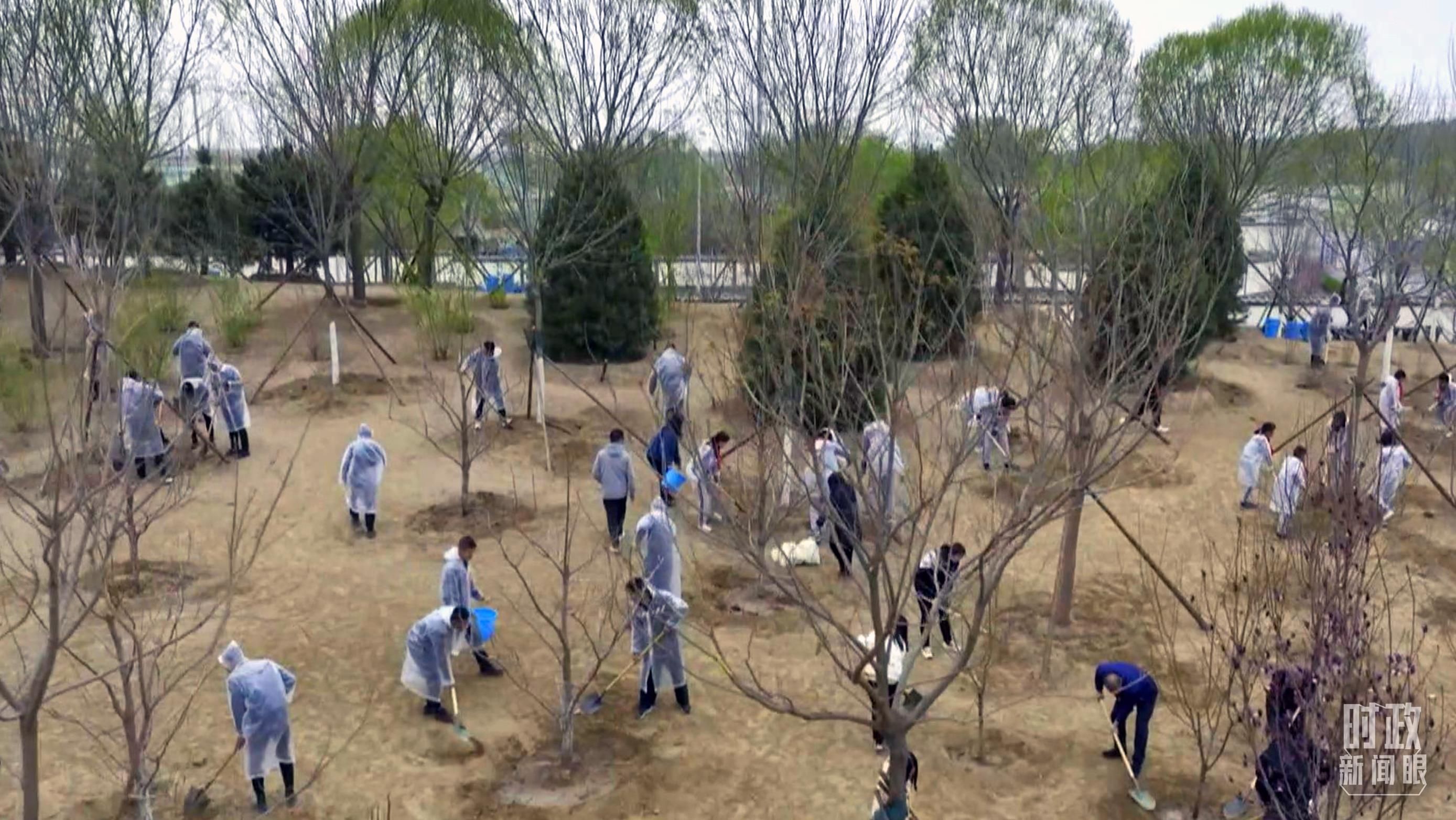 时政新闻眼丨在今年首都义务植树现场，习近平这三句话饱含深意