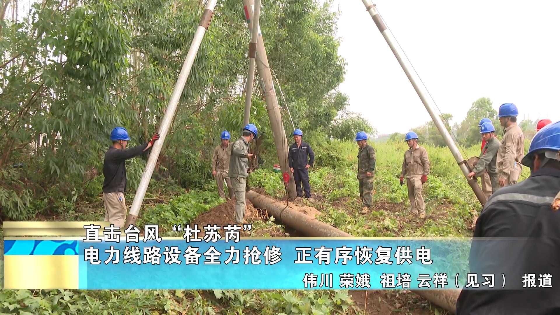 【直击台风“杜苏芮”】电力线路设备全力抢修  正有序恢复供电