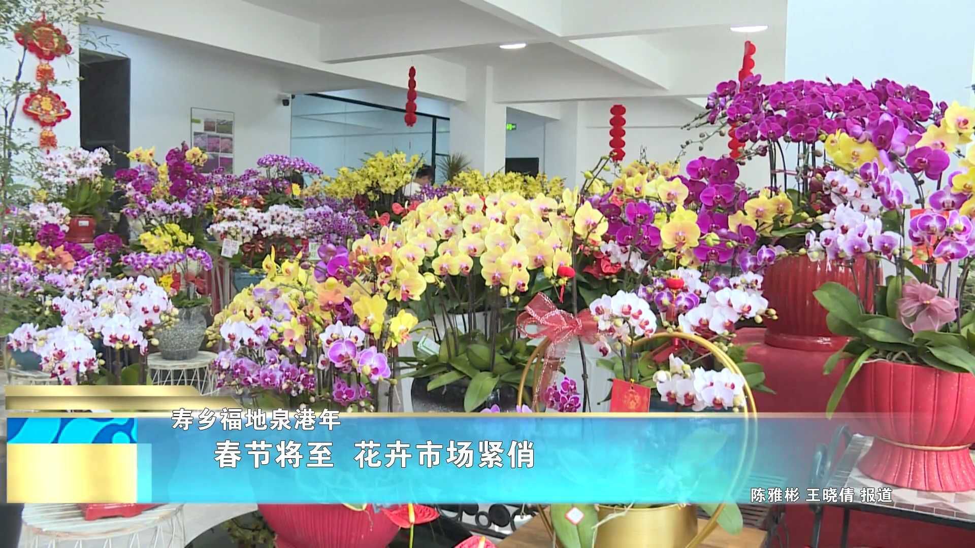 【寿乡福地泉港年】春节将至 花卉市场紧俏