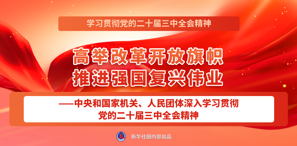 学习贯彻党的二十届三中全会精神，新华社播发系列报道