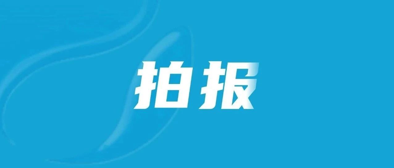 137件！泉港公安喊你来认领